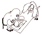Sam26B.gif (6222 bytes)