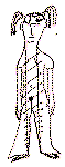 Sam49.gif (8663 bytes)