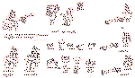 Sam56.gif (17762 bytes)