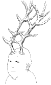 Staff_11.gif (5777 bytes)
