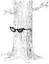 Staff_12.gif (5759 bytes)
