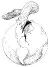 Staff_13.gif (11231 bytes)