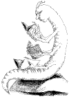 Staff_16.gif (11002 bytes)