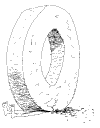 Staff_22.gif (8830 bytes)