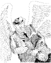 Staff_24.gif (23030 bytes)