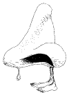 Staff_29.gif (5485 bytes)