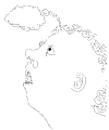 Staff_33.gif (5426 bytes)