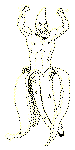 Staff_6.gif (6307 bytes)